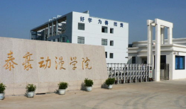 动漫职业学校,培育未来动漫创意精英的摇篮